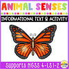 Animal Senses Informational Text and Activity {Covers NGSS 4-LS1-2}