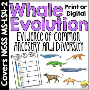 Whale Evolution Lesson and Activity: Evidence of Common Ancestry and Diversity