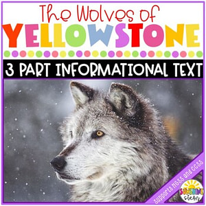 Yellowstone Wolves - 3 Part Informational Text